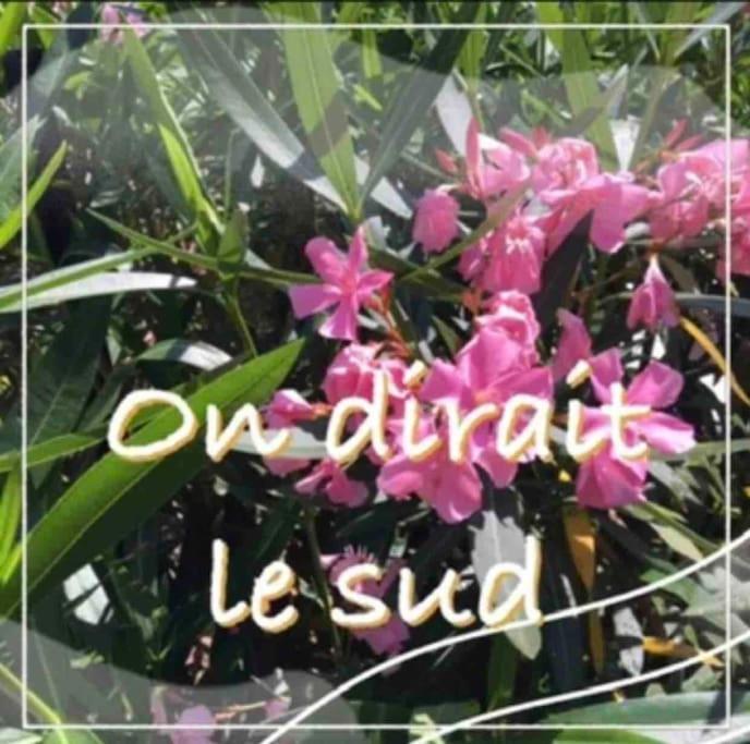 Un Petit Coin De Paradis 툴루즈 외부 사진